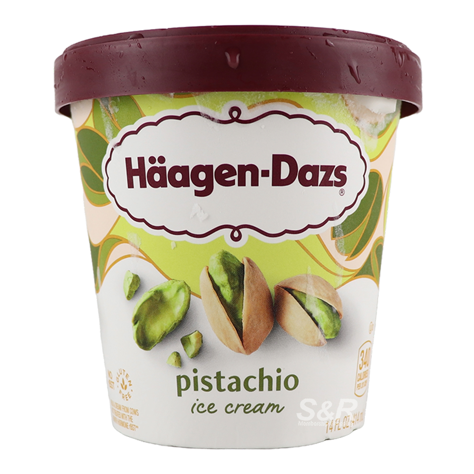 Häagen-Dazs Pistachio Ice Cream 414mL Häagen-Dazs Pistachio Ice Cream 414mL